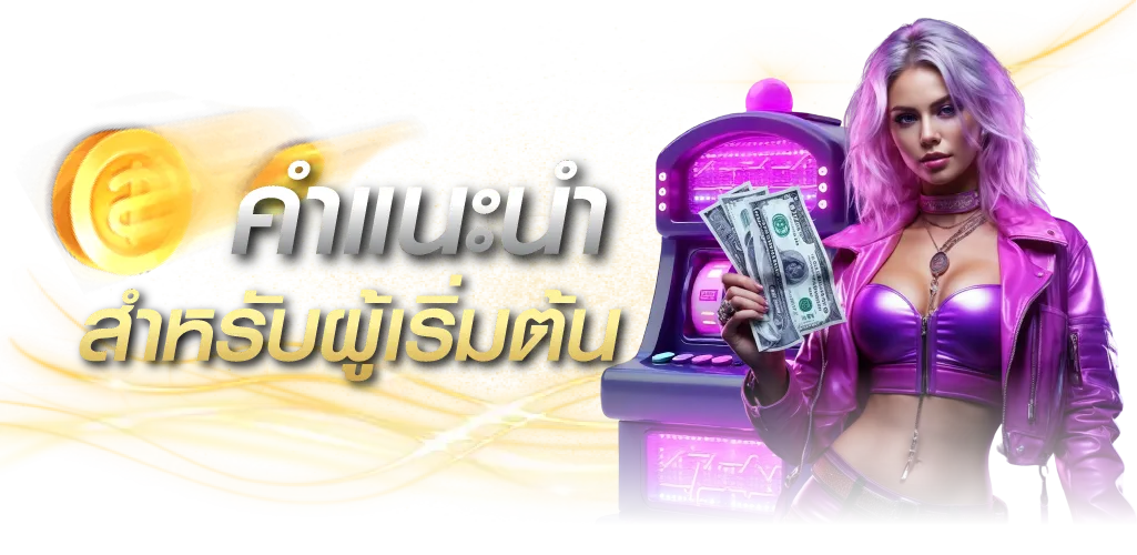 คำแนะนำสำหรับผู้เริ่มต้น
